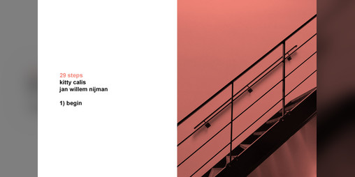 Cover image for 29 steps by Kitty Calis and Jan Willem Nijman