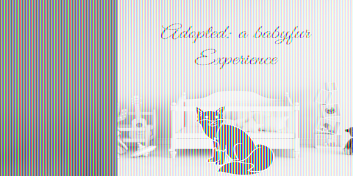 Cover image for Adopted a Baby fur Experience