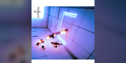 Cover image for PuNk HaZard