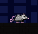 Cover image for Opossum Adventures