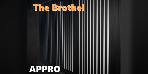 Cover image for The Brothel!