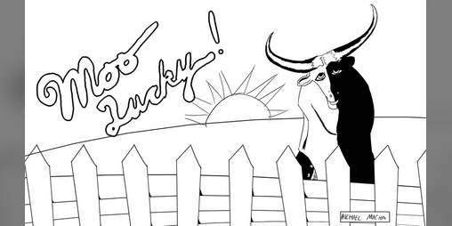Cover image for Moo Lucky