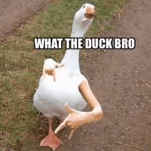 DONT LET YOUR DUCK DIE
