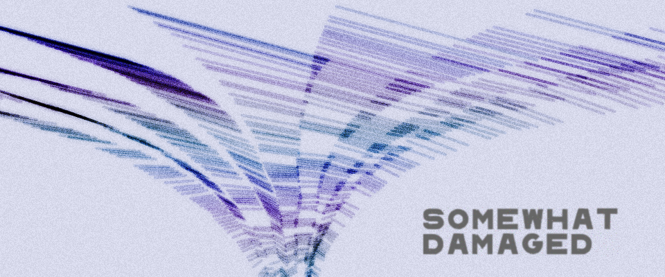 Cover image for Somewhat Damaged