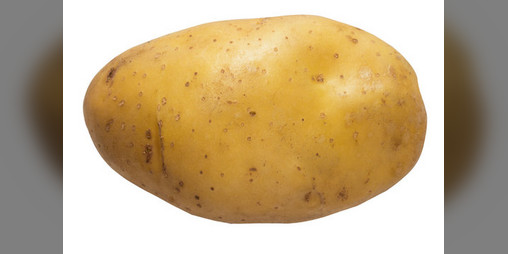 Cover image for Spud Saviour