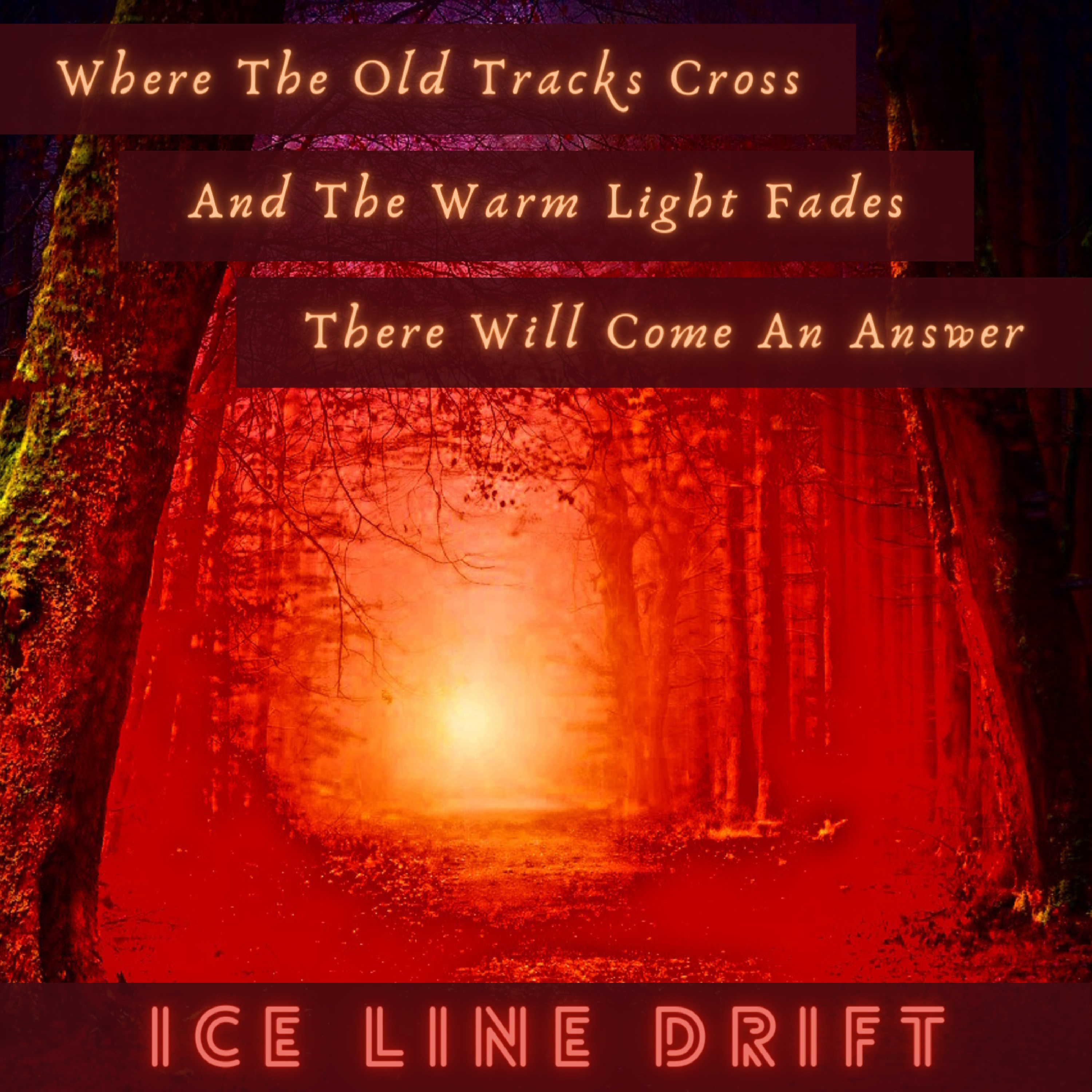 Where the old tracks cross cover image