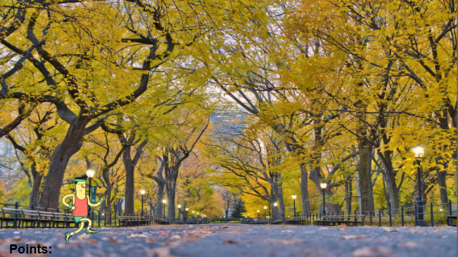 Central Park Collecting Game