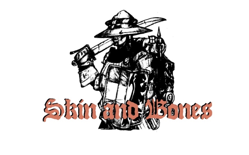 Cover image for Skin and Bones
