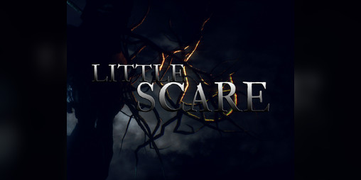 Cover image for Little Scare