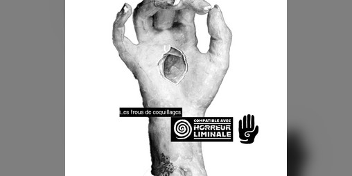 Cover image for Les trous de coquillage