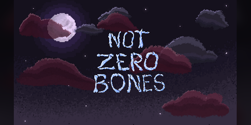 Cover image for Not Zero Bones
