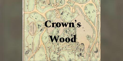 Cover image for Crown's Wood