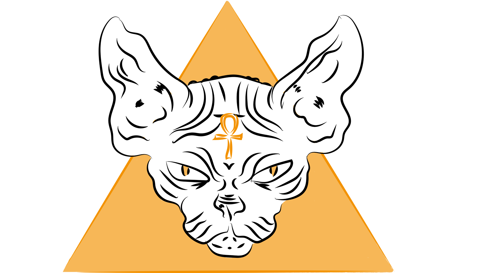Cover image for The lost pyramid