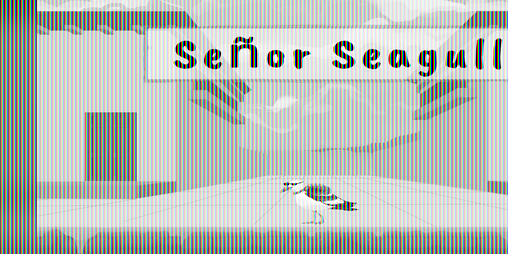 Cover image for Señor Seagull