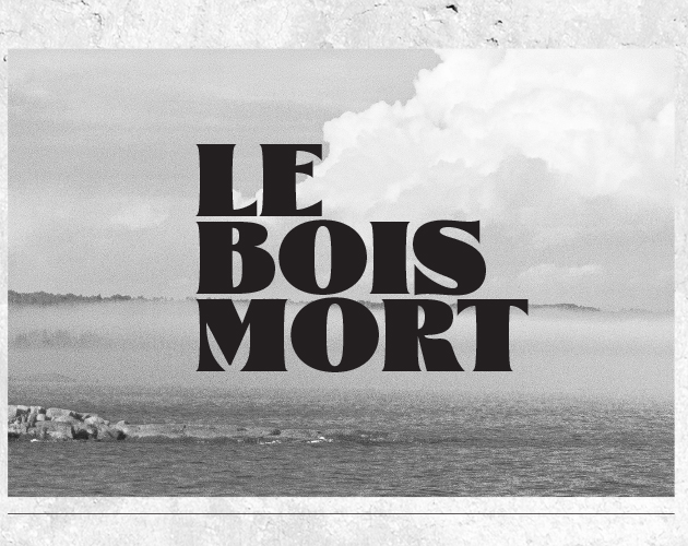 Cover image for Le Bois Mort