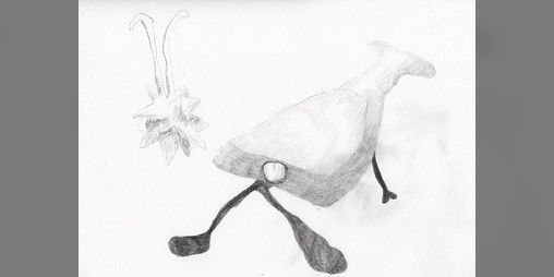 Cover image for Drones