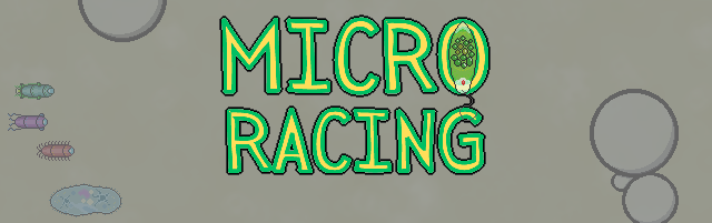 Micro-Racing