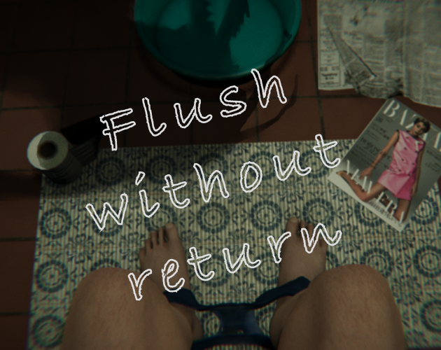 Cover image for Flush without return