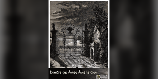 Cover image for L'ombre qui danse dans le coin
