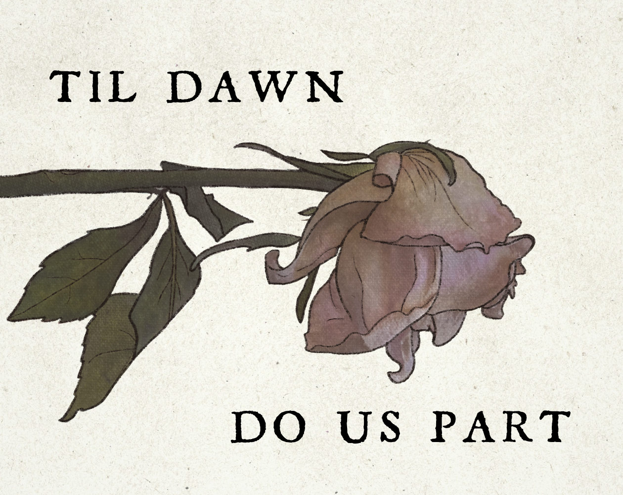 Cover image for Til Dawn Do Us Part