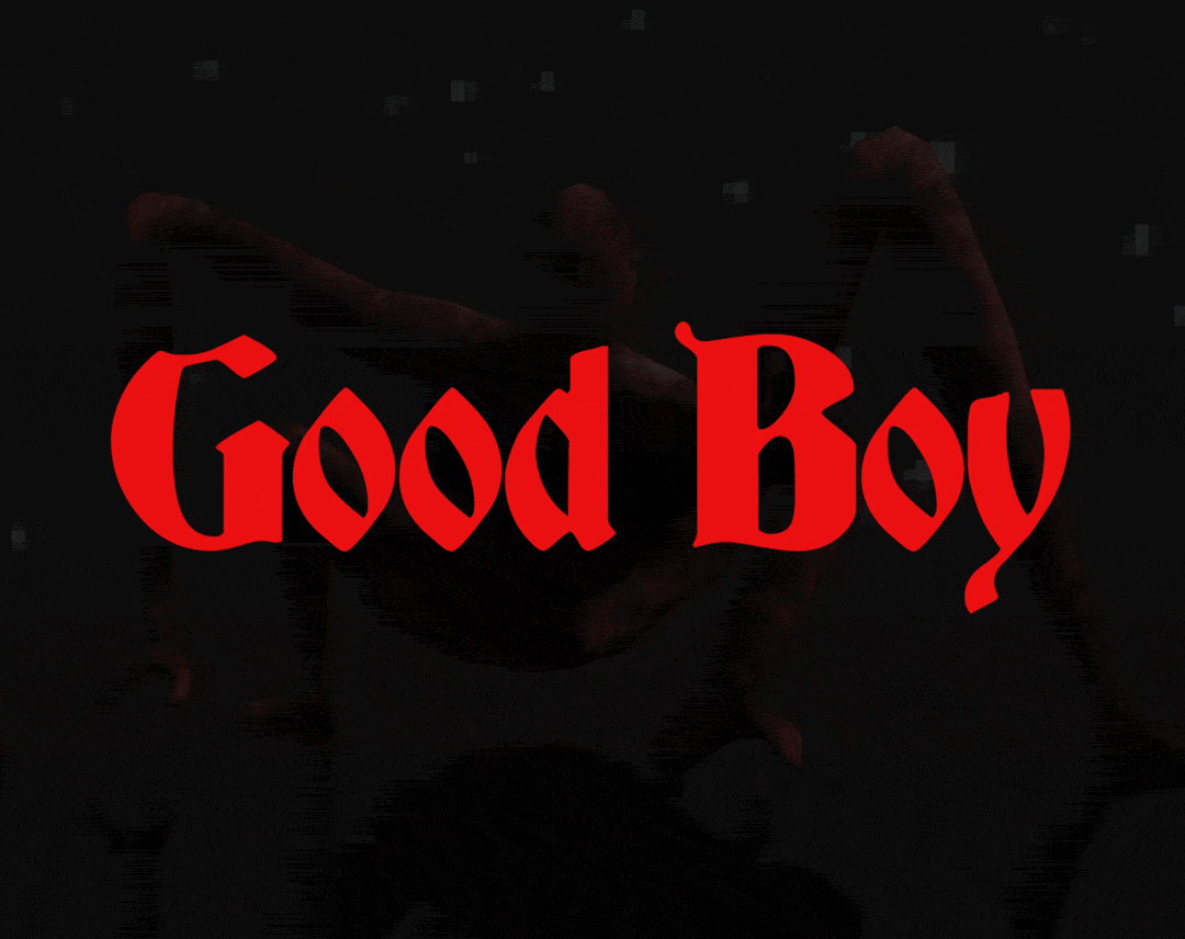 good boy  Goodboy | Vinted