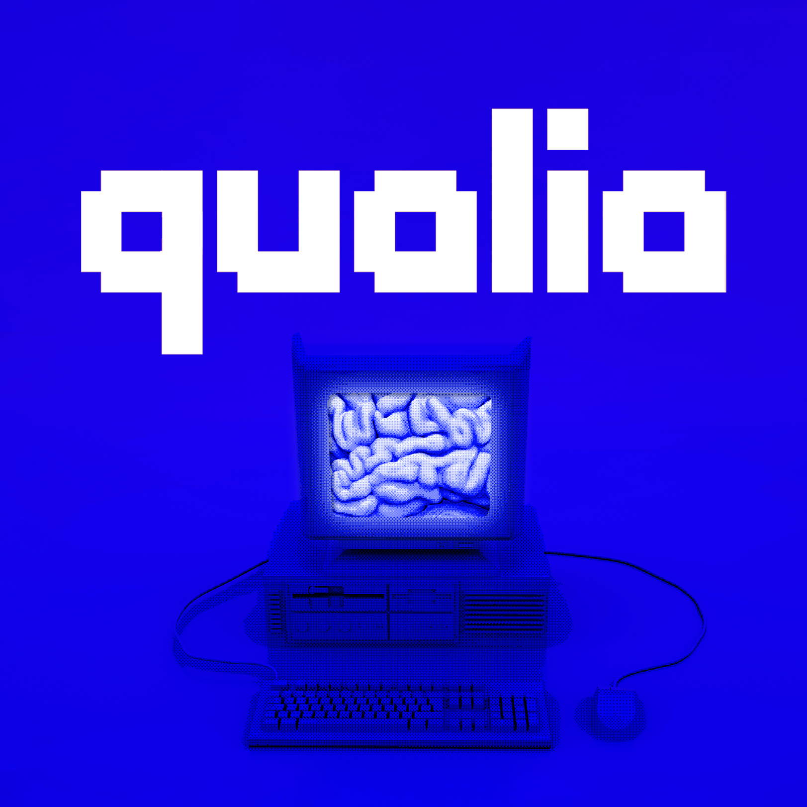 Cover image for qualia