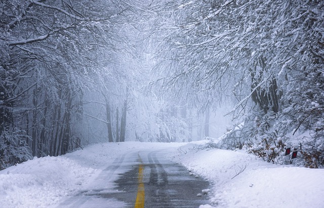 O Andarilho da Neve