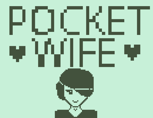 Cover image for Pocket Wife