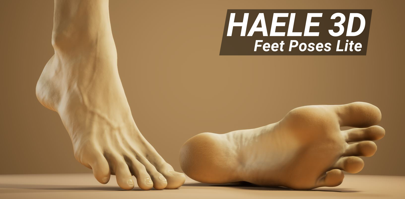 HAELE 3D - Feet Poser Lite