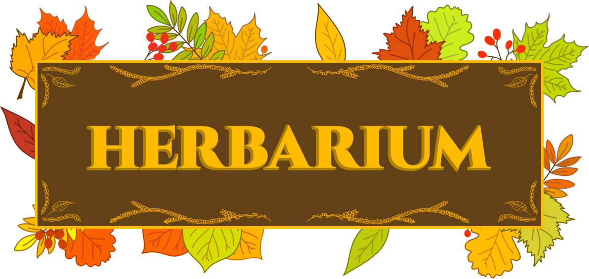 Herbarium