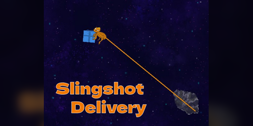 Cover image for Slingshot Delivery