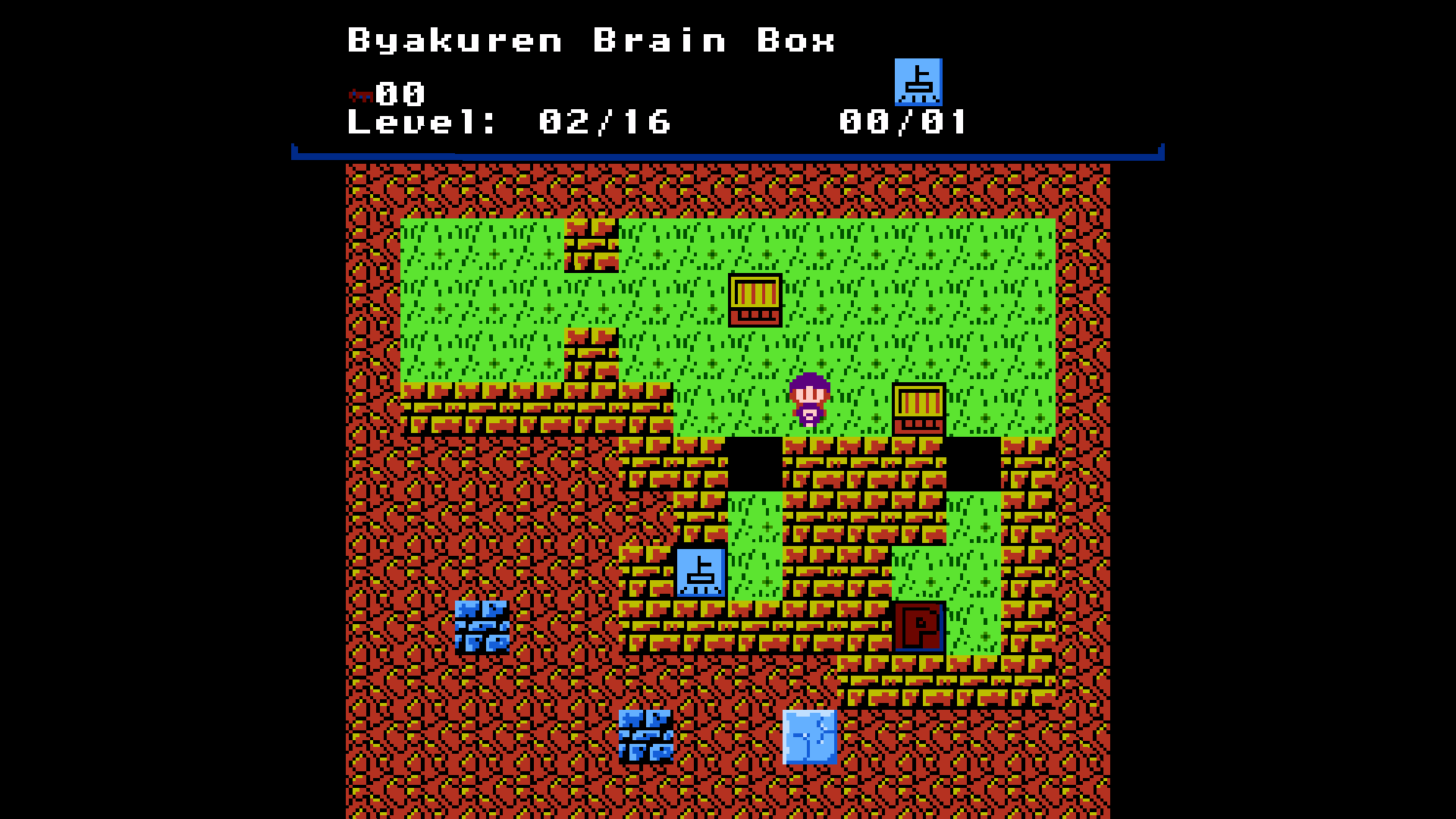 Cover image for Byakuren Brain Box