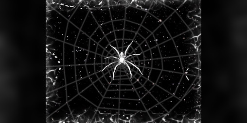 Cover image for Contaminated Space