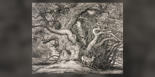 Cover image for The Tale of Drowsy Burrow