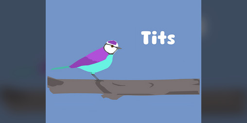 Cover image for Tits