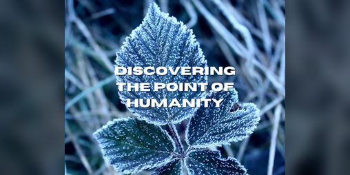 Cover image for Discovering the Point of Humanity