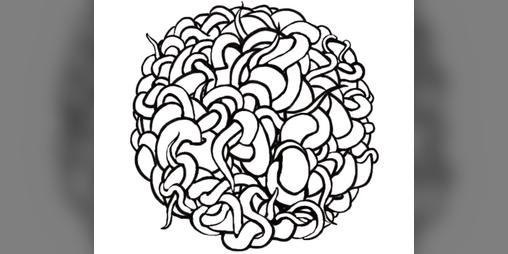 Cover image for The Pamphlet Of The Old Ones