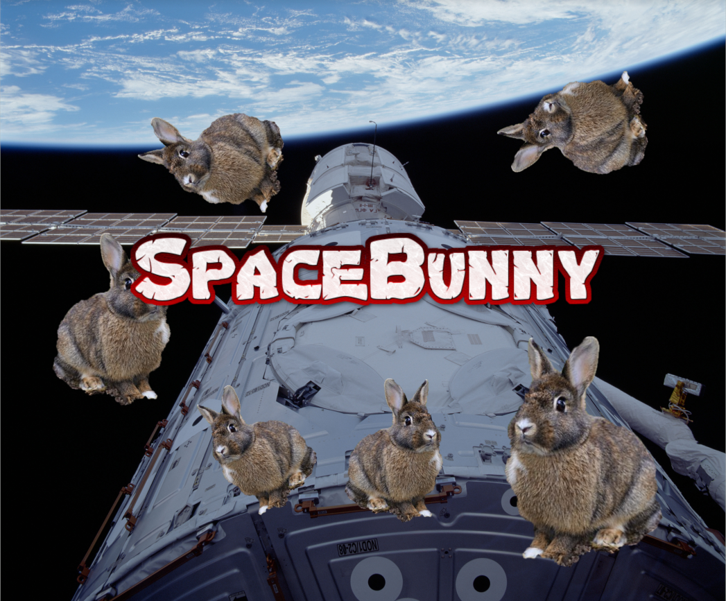 SpaceBunny