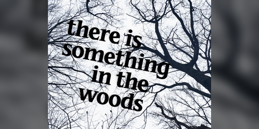 Cover image for there is something in the woods
