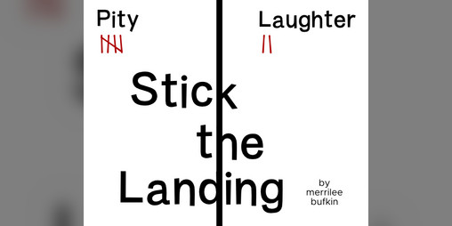Cover image for Stick the Landing