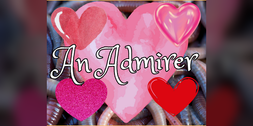 Cover image for An Admirer