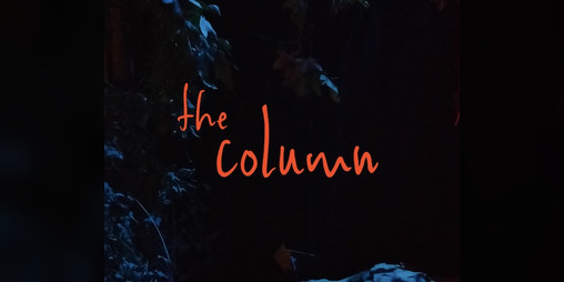 Cover image for The Column