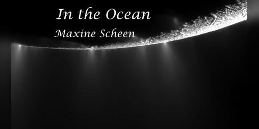 Cover image for In the Ocean