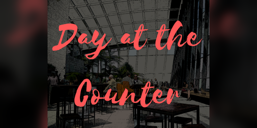 Cover image for Day at the Counter
