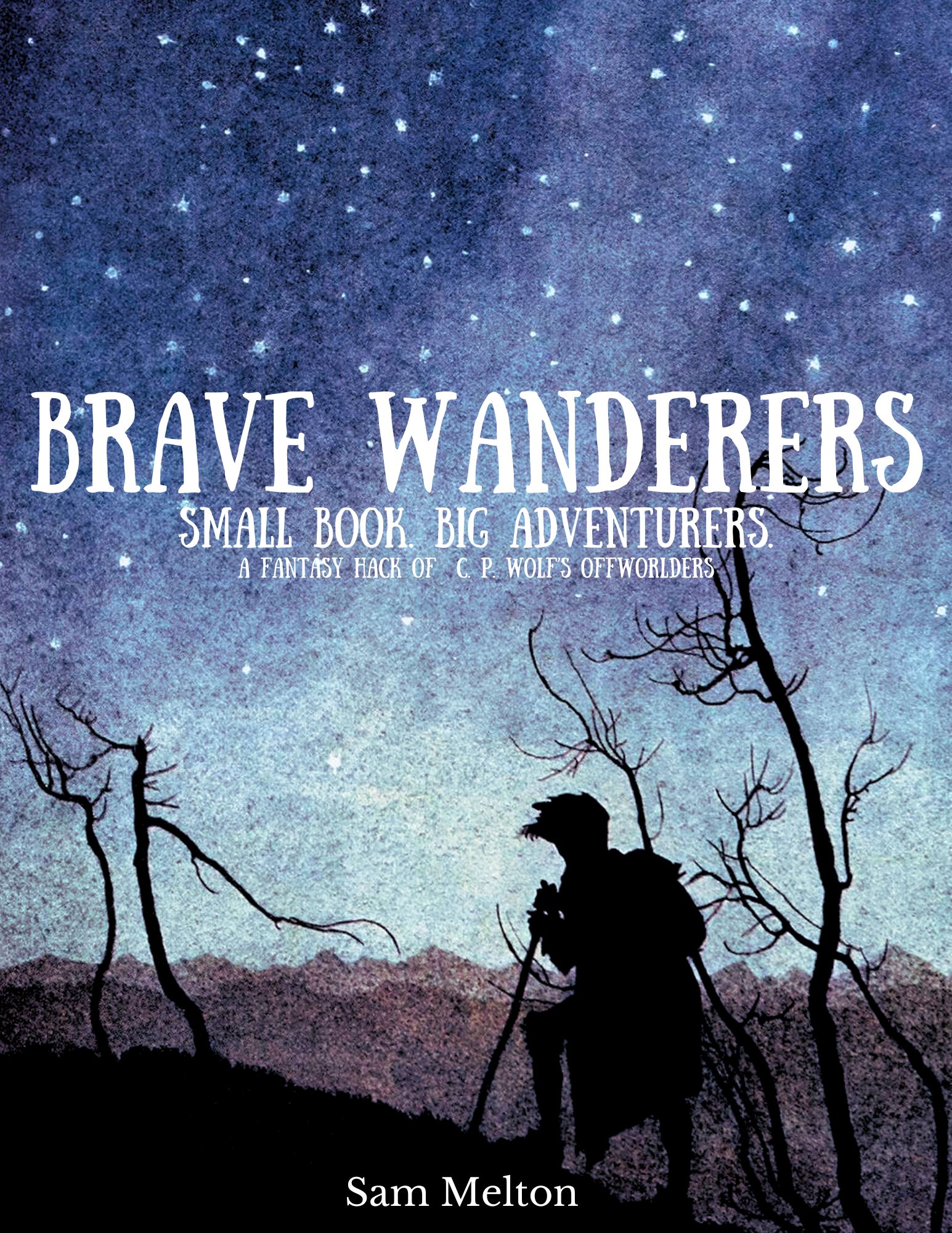 Cover image for Brave Wanderers