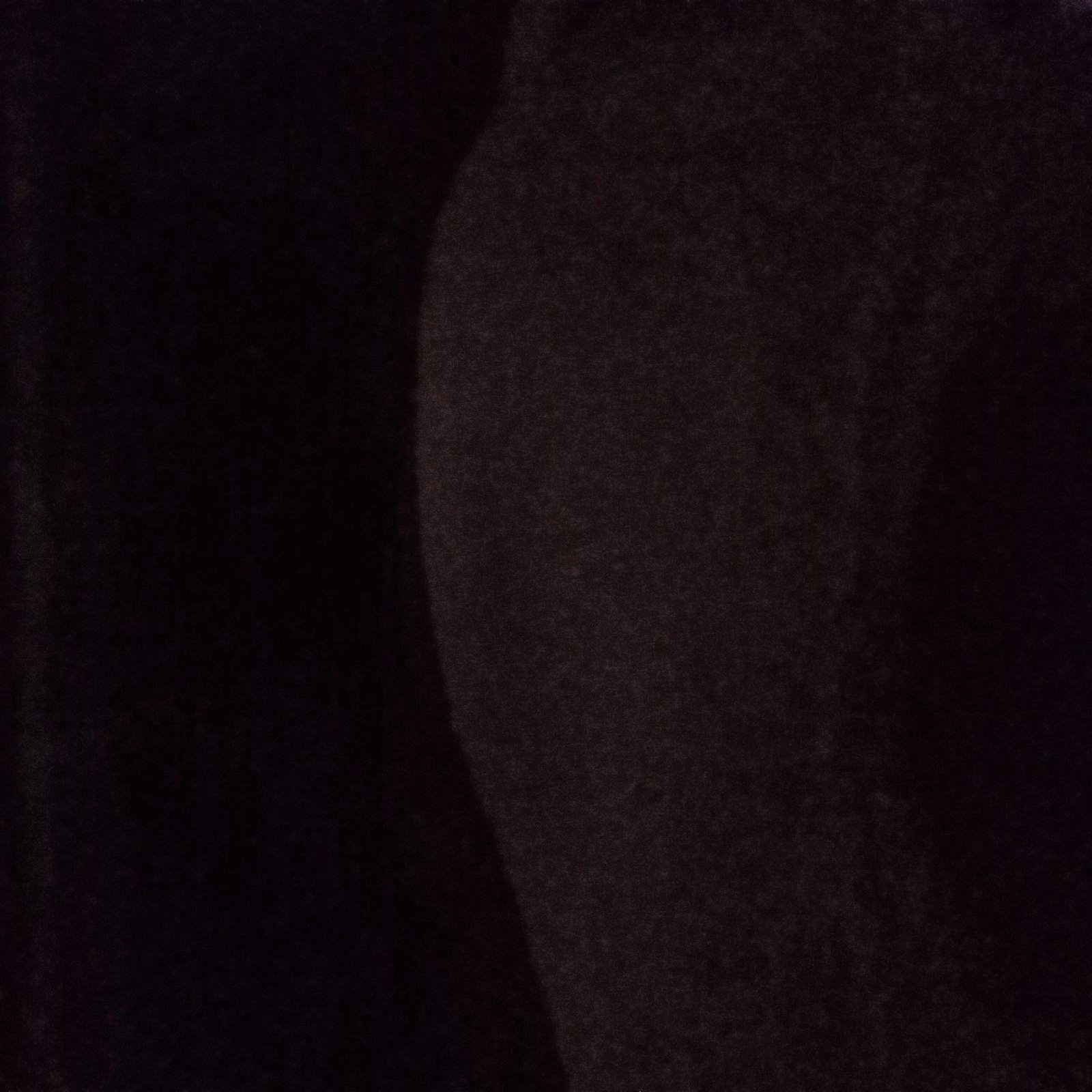 Cover image for Five Nights With Misha