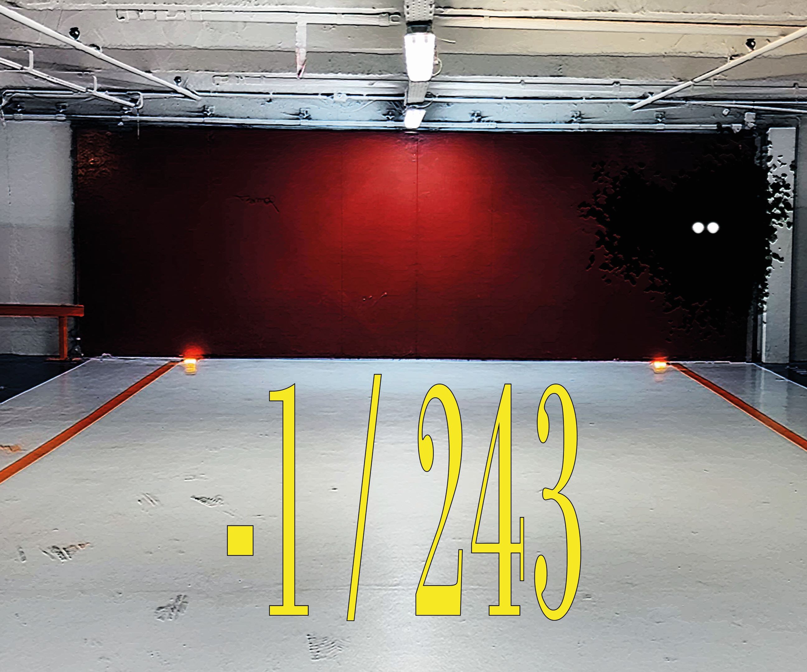Cover image for -1/243