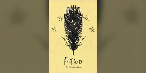 Cover image for 羽落轻尘