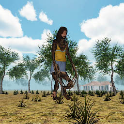 Cover image for The Granny's Revenge