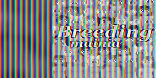 Cover image for Breeding Mania